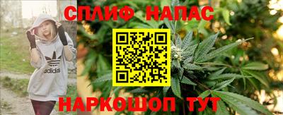 гашик Лесосибирск