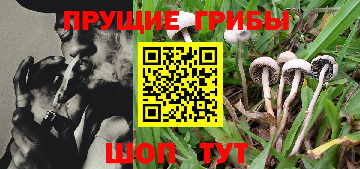 Псилоцибиновые грибы MAGIC MUSHROOMS Бийск
