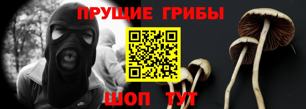 Галлюциногенные грибы GOLDEN TEACHER  Вход с VPN  Бийск 